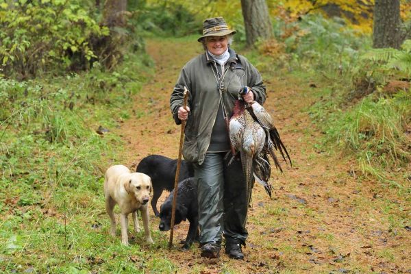 A photograph of a woman carrying pheasants accompanied by her black and golden labradors at Edradynate Shooting Holidays in Scotland - Edradynate Estate, Luxury Country House and Sporting Estate , Perthshire