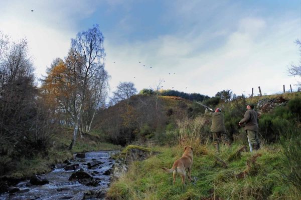 A Photograph of a shoot at Edradynate -Shooting Holidays in Scotland - Edradynate Estate, Luxury Country House and Sporting Estate , Perthshire