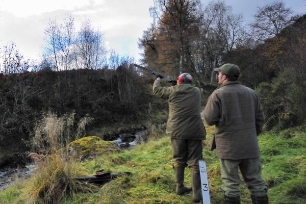 A colour Photograph of a shoot at EdradynatShooting Holidays in Scotland - Edradynate Estate, Luxury Country House and Sporting Estate , Perthshire