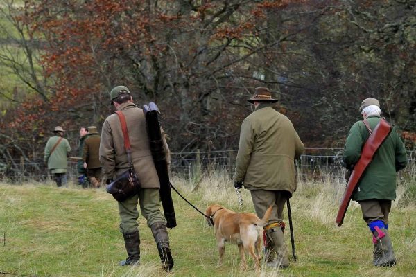 A colour photograph of a clay pigeon shoot at EdradynateShooting Holidays in Scotland - Edradynate Estate, Luxury Country House and Sporting Estate , Perthshire