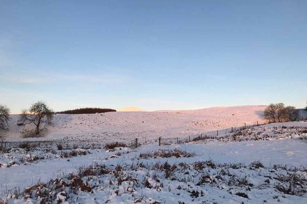 A colour image of Edradynate Estate in the snow displayed in the mind the hungry gap new article for supplementary feeding of game birds and wild birds