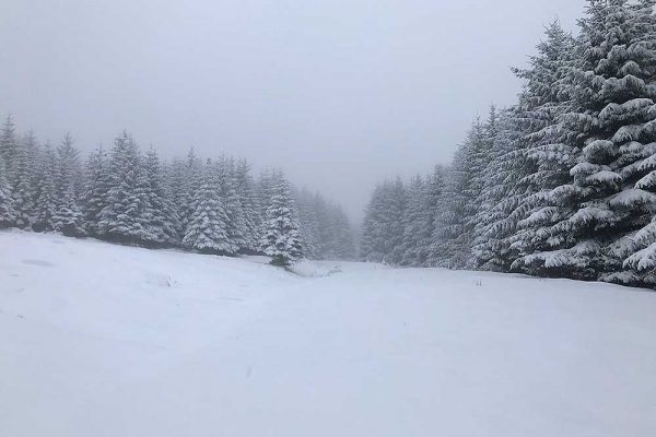 A colour image of Edradynate Estate in the snow displayed in the mind the hungry gap new article for supplementary feeding of game birds and wild birds